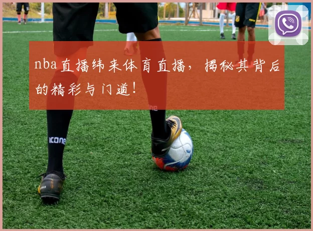 nba直播纬来体育直播，揭秘其背后的精彩与门道！