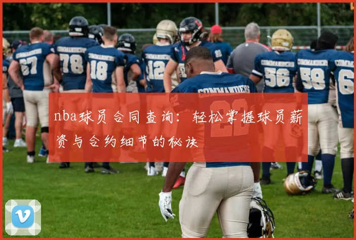 nba球员合同查询：轻松掌握球员薪资与合约细节的秘诀