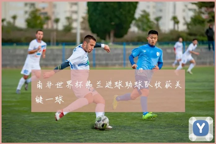 南非世界杯弗兰进球助球队收获关键一球