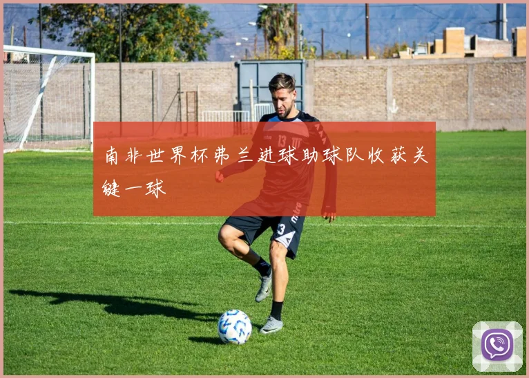南非世界杯弗兰进球助球队收获关键一球